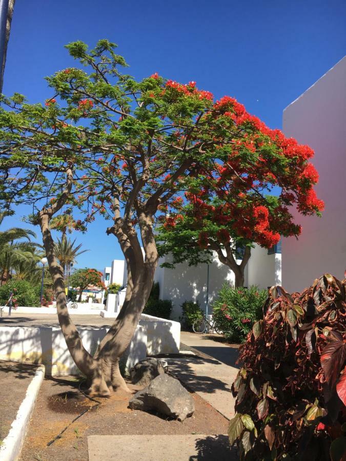 Los Barqueros Corralejo "Beach Front - Town Centre" Lejlighed Eksteriør billede